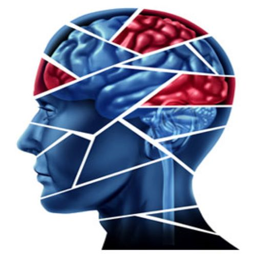 web development illustration
